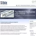 ebiz-consulting.com