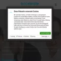 eccelerate.com