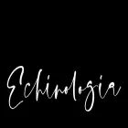 echinologia.com