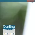 edarling.ch