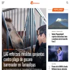 edunoticias.lat