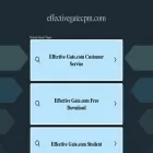 effectivegatecpm.com