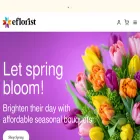 eflorist.ie