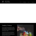 ehealthroles.webstarts.com