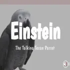 einsteinparrot.com
