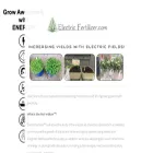 electricfertilizer.com