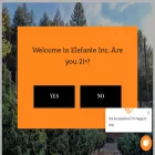 elefanteinc.com