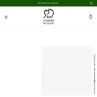 elephantartgallery.com