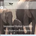 elephantconservation.org