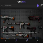 eliteskins.store
