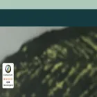 embelly.com