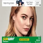 emmastonebrasil.com