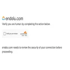 endolu.com