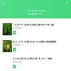 enngeikajitu.com