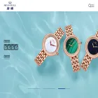 en.seagullwatch.com