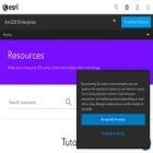 enterprise-k8s.arcgis.com