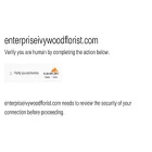 enterpriseivywoodflorist.com