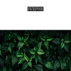 entrasprvise.com
