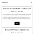 escortistanbul.org