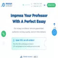 essaysprofessor.com