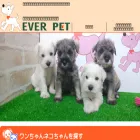 ever-pet.com