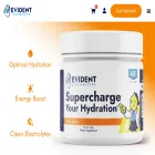 evidentelements.com