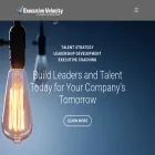executive-velocity.com