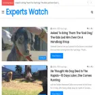 expertswatch.com
