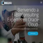 fabriconsulting.com.mx