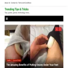 falgames.com