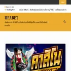 falmouthgoatrace.org