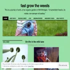 fastgrowtheweeds.com