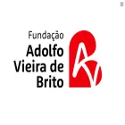 favb.pt