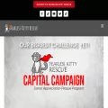 fearlesskittyrescue.org