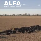 feedlots.com.au