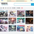 feijisu22.com