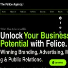 feliceagency.com