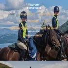 fellpony.co.uk