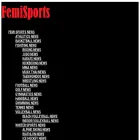 femisports.com