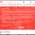 feram.cl