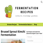 fermentationrecipes.com
