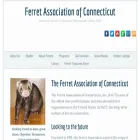 ferretassn.org