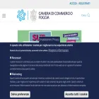 fg.camcom.it