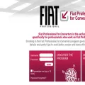 fiatprofessional-converters.com