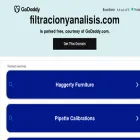 filtracionyanalisis.com