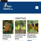 finchexperts.com