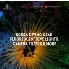 firedivegear.com