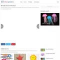firstpalette.com