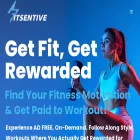 fitsentive.com