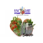 flevoplant.be